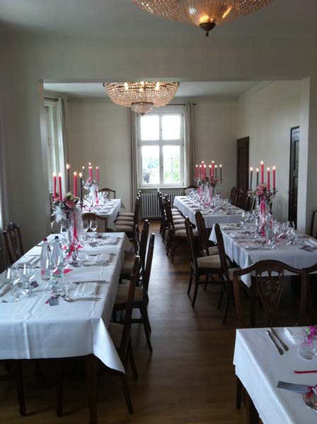 Villa Schmidt_67000 STRASBOURG_13
